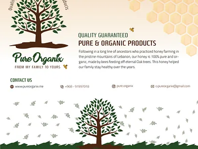 Flyer Design branding dailyui design flyer free graphic design illustration label logo poster ui ux vector