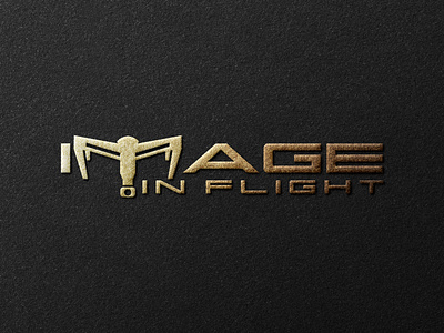 Image in Flight Logo branding design drone logos graphic design logo logodesign logos logotype simple vector