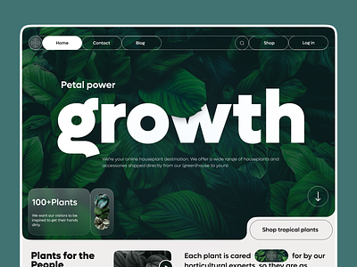 Plant shop landing page-Hero section🌱 ai cart clean ui collection flat flower shop graphic design green hero section layout minimal modern plant shop landing page product produuct design slider trendy design typography ui ux web design