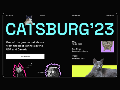 Landing page concept for cat show design homepage landing page ui ux web web design website