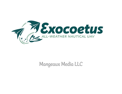 Exocoetus - Nautical UAV graphic design illustration logo vector