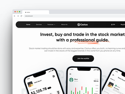 Cactus Website Hero Section design figma finance hero ui webdesign website