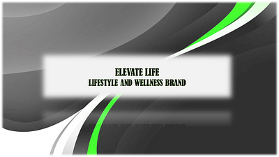 ELEVATE LIFE (Brand Identity) 3d advertising advertisment asver brand identity branding company profile design graphic design illustration logo ui