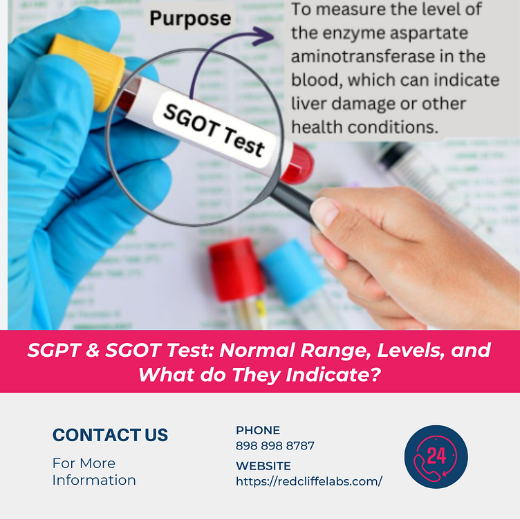 sgpt-sgot-test-normal-range-levels-etc-by-vikas-sharma-on-dribbble