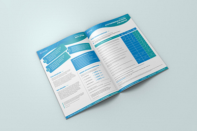 Document layout Design in Canva design document design fitness book graphic design illustration lead magnet logo pdf design ui whitepaper design