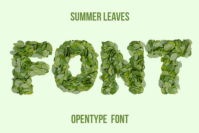 Summer Leaves Font app branding design graphic design illustration logo typography ui ux vector
