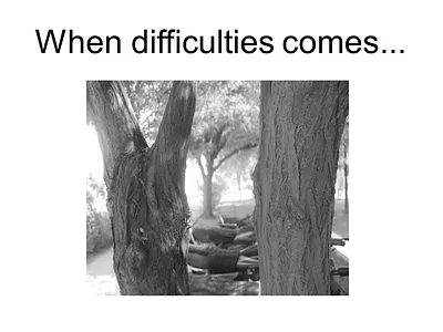 Black and Why Photography blackandwhite photography camera canon700d nature nature photography photography