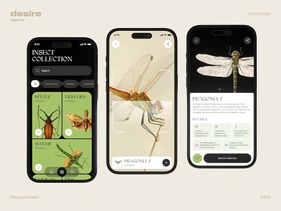 Insect Identifier App android animation app design branding dashboard design desire agency graphic design identifier illustration insects ios logo mobile app motion motion graphics photo ui