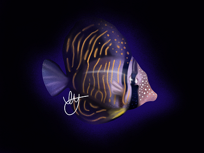 Sailfin Tang 3d black blue brown colorful concept design fish graphic design illustration juvenile ocean procreate reef shadow spots stripes vector water waves