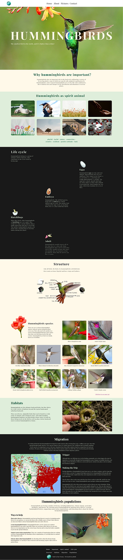 Hummingbirds design web