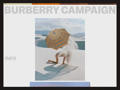 Synchrodogs: Project Page animation grid interface promo ui ux web website