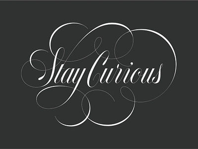 Stay Curious Lettering branding calligraphy copperplate design elegant script fancy flourishes graphic design hand lettering illustration lettering logo logotype roundhand wordmark