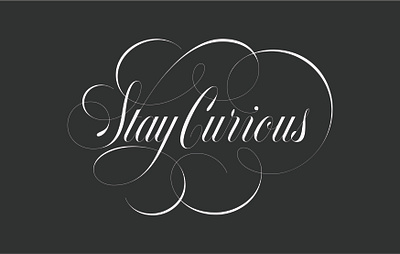 Stay Curious Lettering branding calligraphy copperplate design elegant script fancy flourishes graphic design hand lettering illustration lettering logo logotype roundhand wordmark