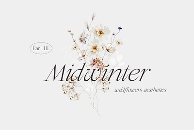 MIDWINTER Wildflowers Winter Aesthetic design floral floral art illustration midwinter watercolor wild floral wildflowers winter