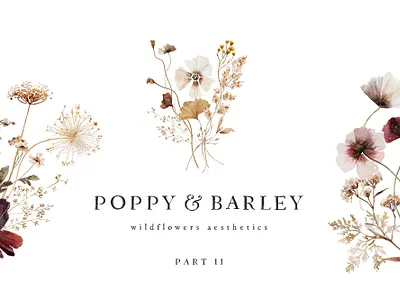 POPPY & BARLEY Wildflowers Aesthetics autumn collection fall floral illustration summer watercolor wild floral wildflowers