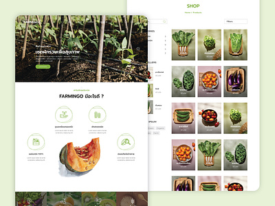 Farmingo — Web & Design system branding design design system graphic design ui ux web design
