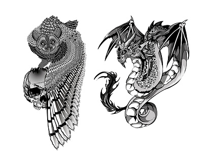 Black and White adobe illustartor black and white branding digital art dragon drawing illustration nature owl vector