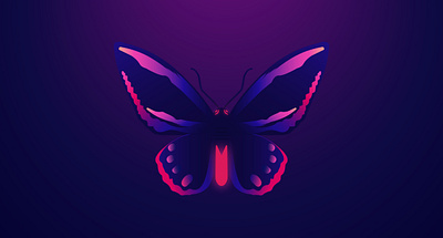 butterfly illustration butterfly butterfly illustartion colorful design design designwallpaper graphic design illustration vector vector design wallpaper