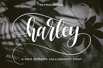 harley 3d animation branding design font font cool graphic design handmade illustration logo motion graphics ui