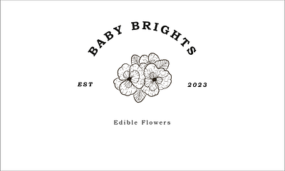 baby bright botanical illustration branding graphic design logo