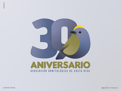 30 Aniversario Asociación Ornitológica de Costa Rica aniversary ave logo bird conservation bird logo birdwatching costa rica designer environment conservation graphic design illustration logo