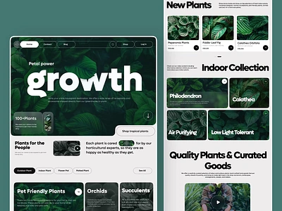 Plant shop landing page🌱 animation cart design clean collection flat flower shop green home page hover layout minimal modern motion graphics plant shop landing page product slider terndy ui ui web design