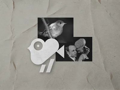 Logo for video studio animal bird brand camera cinema collage emblem film logo logotype retro symbol video