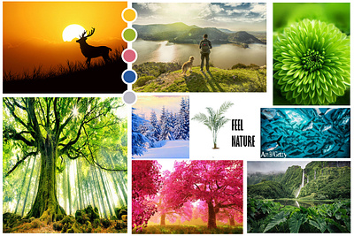 NATURE MOOD BOARD branding feel the nature graphic design moodboard nature photoshop