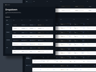 DesignSystem (Dropdown,Input) design system dropdown input pro product design ui ux