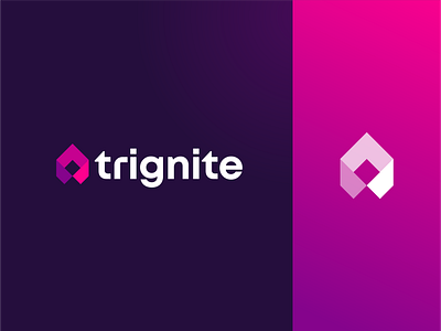 Trignite - Logo & Branding branding company logo design fire logo flame logo geometric graphic design logo logo design minimalist logo modern brand modern logo phencils pink purple