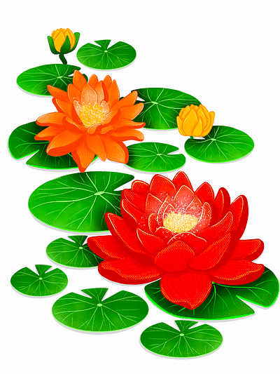 Flowers colors complementary color concept design digital art digital drawing flowers illustration leaves lotus procreate