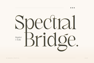 Spectral Bridge - Modern Serif Fonts branding display font elegant font fonts logo luxury modern modern serif serif serif display serif display font typeface typography