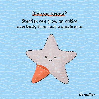 Starfish can grow an entire new body from just a single arm cartoon digital art digital illustration drawing fact fun fact illustration ocean procreate sea starfish