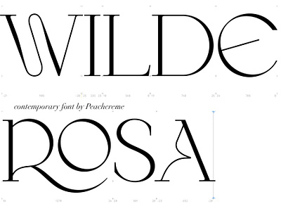 Wilde Rosa//Contemporary & Chic Font