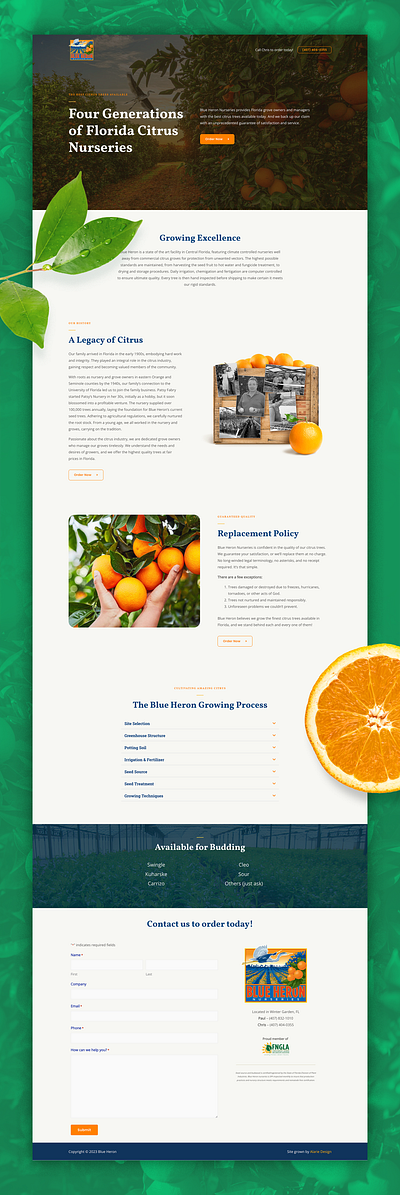 Nursery Website agency branding design graphic design ui