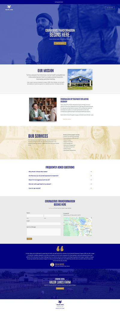 Rehab Website agency alarie design branding design graphic design ui