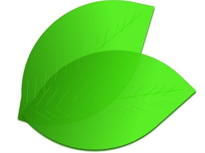 The Leaves design graphic design ui vector