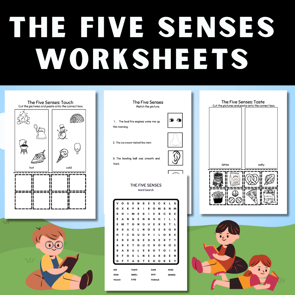 The Five Senses Worksheets, 1st Grade Worksheets & Teaching by ...