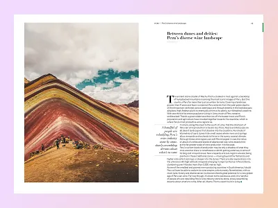 The South America Wine Guide book cover design book cover illustration book design editorial design food and wine gastronomy graphic design illustration indesign layout design map design maps print design recipes self published south america travel guide typography wine guide wine regions