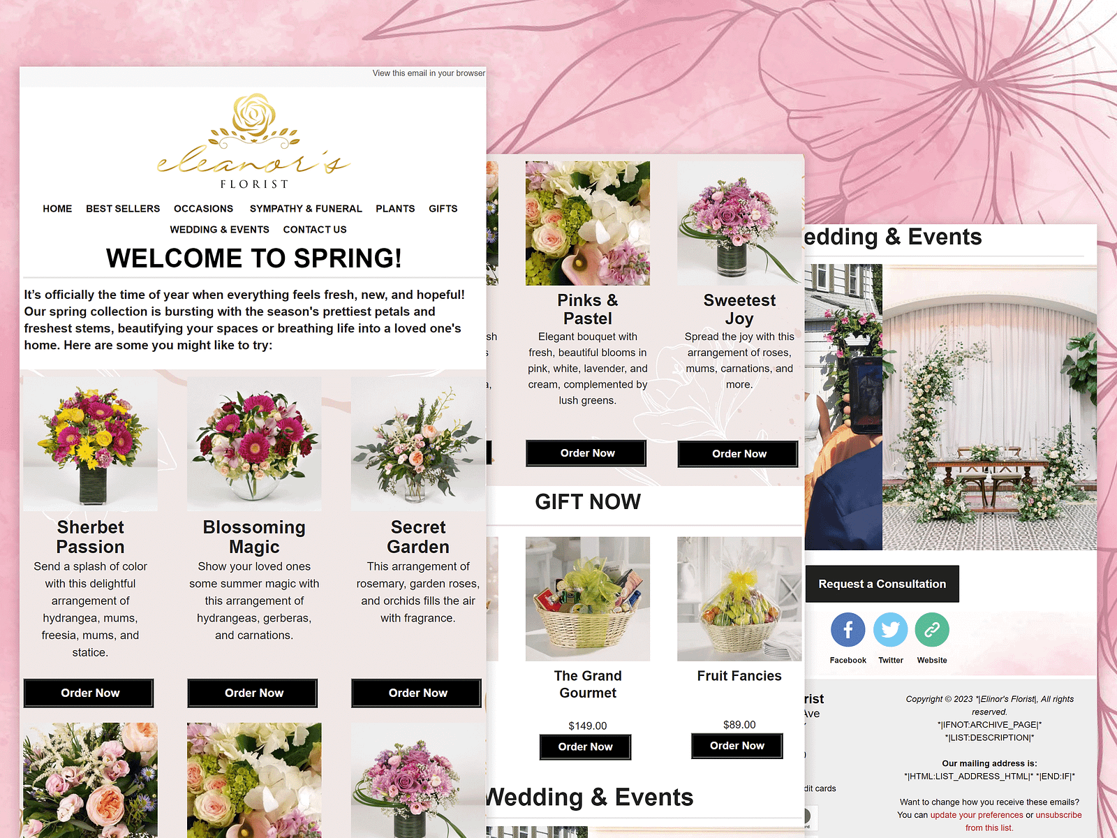 Email template design by Towfiqul Alam on Dribbble