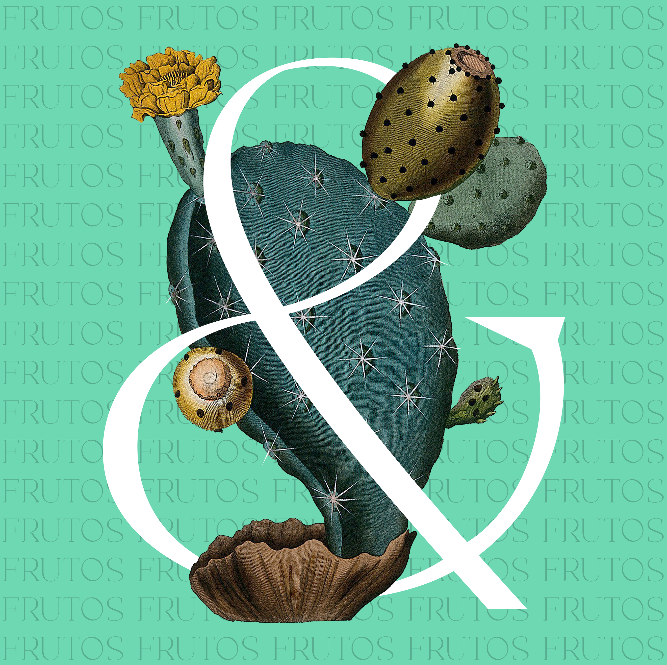Frutos · II ampersand cactus collage digital art illustration illustrator pattern photoshop tropics typography