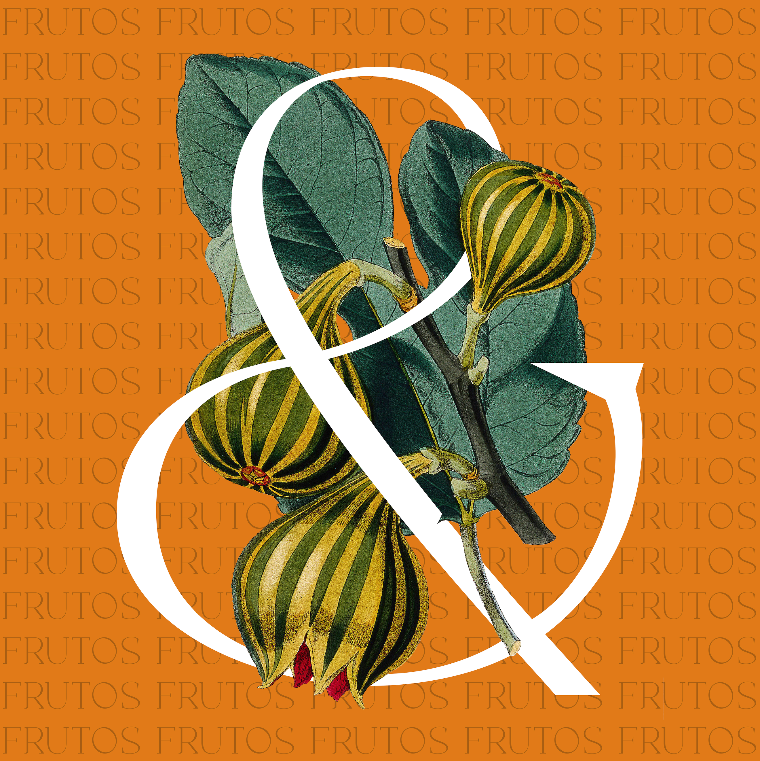 Frutos · III ampersand collage digital art illustration illustrator nature organic pattern photoshop tropics typography