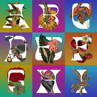 F R U T O S T Y P E · A – I collage digital art fauna flora illustration illustrator photoshop tropics type design typeface typography vintage