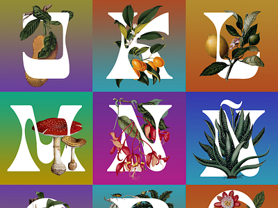 F R U T O S T Y P E · J – Q collage digital art illustration illustrator nature organic photoshop retro tropics type design typeface typography vintage