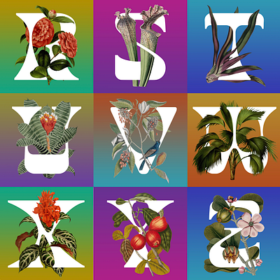 F R U T O S T Y P E · R – Z collage digital art fauna flora illustration illustrator nature photoshop retro tropics type design typeface typography vintage