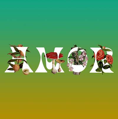F R U T O S T Y P E · Amor amor amore amour collage digital art flora illustration illustrator liebe love nature organic photoshop retro tropics type design typeface typography vintage