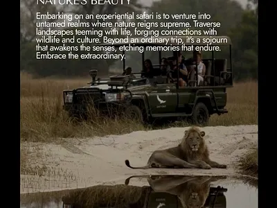 Instagram stories ideas for Luxury Travel animation branding design graphic design illustration instagram stories motion graphics ux vector