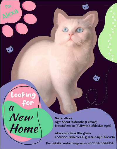Cat Poster Design design digital art editing graphic design illustration poster