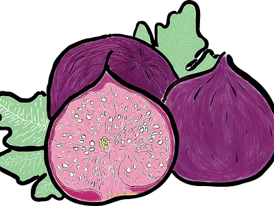 Adriatic summer autumn bright colourful cooking cuisine design detailed fall fig flesh food fruit illustration leaf mediterranean season seeds summer vegan