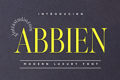 Abbien Serif design font graphic design serif typography